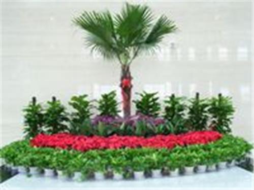 廣州市南沙區(qū)橫瀝永恒花場綠化工程部 專業(yè)園林設(shè)計與施工一體化服務(wù)